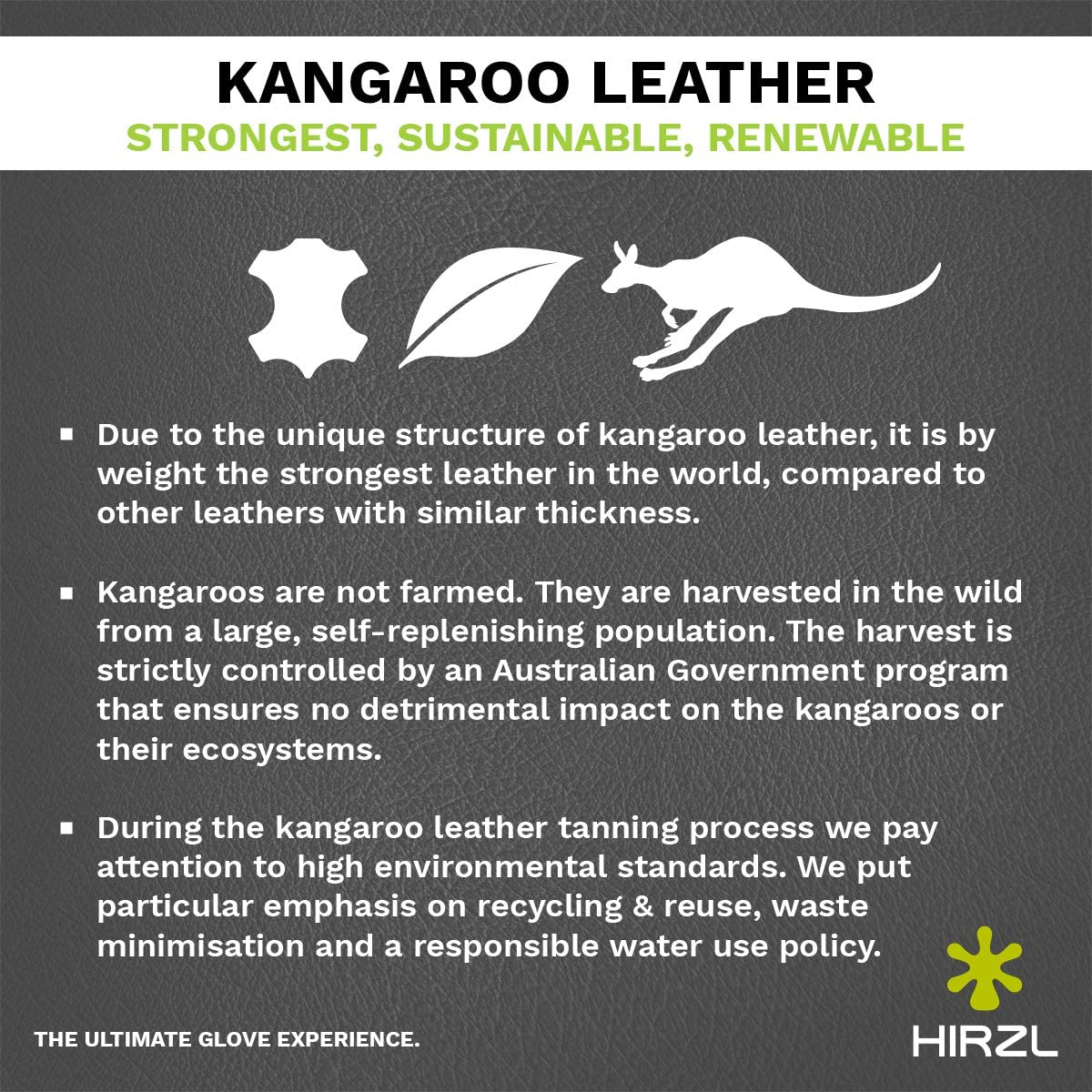 HIRZL Trust Control 2.0 Golf Gloves