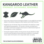 HIRZL Trust Control 2.0 Golf Gloves