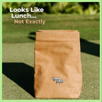 Brown Paper Bag Secret Cooler